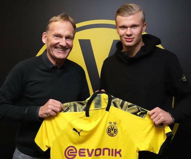 可预期的线 可预期的线